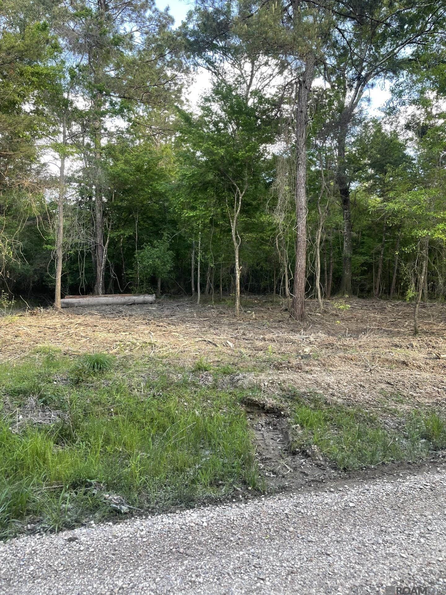3 Three Knotch Rd, Clinton, LA 70722 | MLS # 2026006506