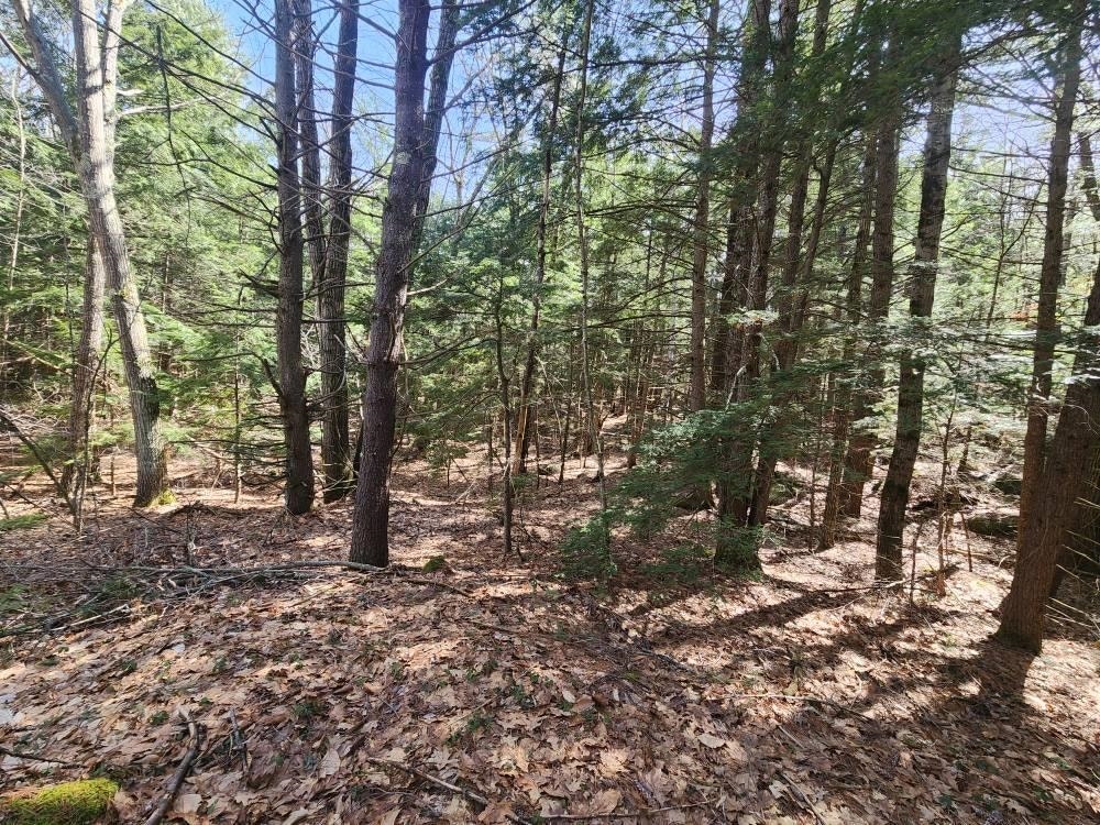 1 West Main Street, #233-1, Hillsborough, NH 03244