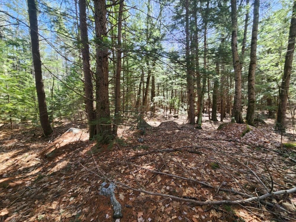 1 West Main Street, #233-1, Hillsborough, NH 03244