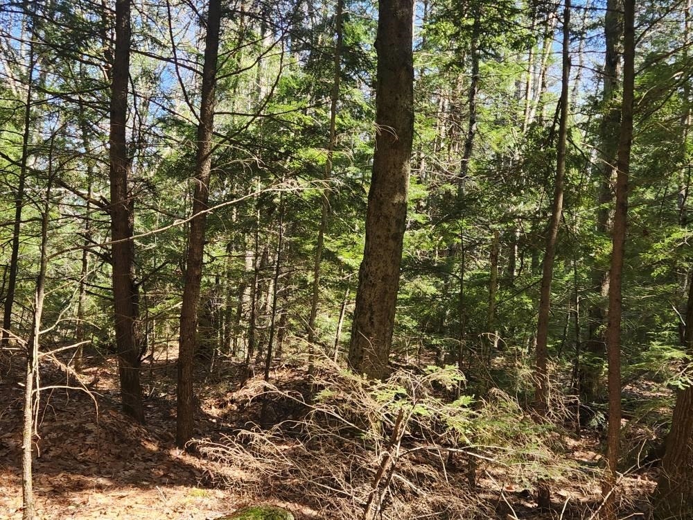 1 West Main Street, #233-1, Hillsborough, NH 03244