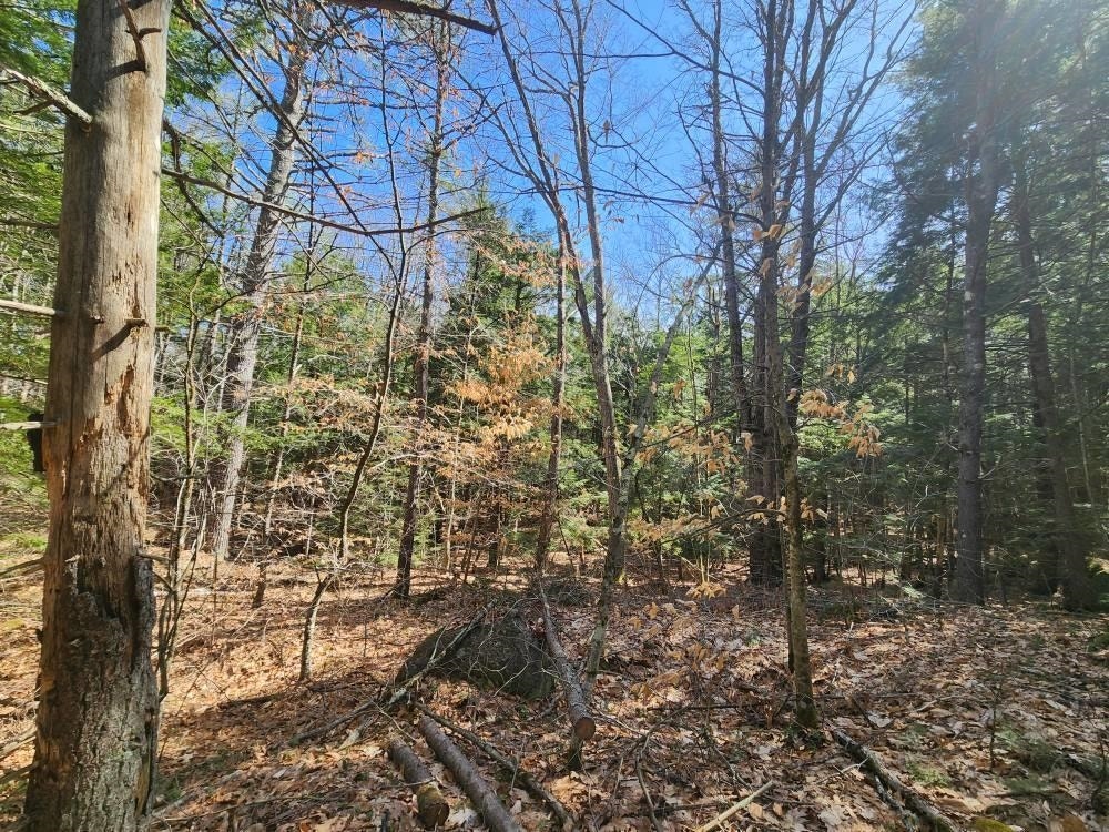 1 West Main Street, #233-1, Hillsborough, NH 03244