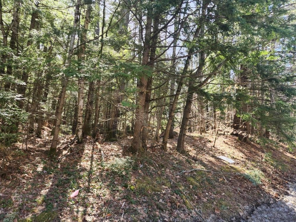 1 West Main Street, #233-1, Hillsborough, NH 03244