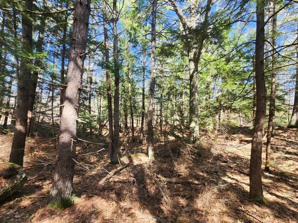 1 West Main Street, #233-1, Hillsborough, NH 03244