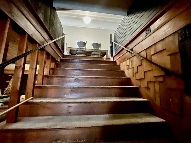 Picture 8