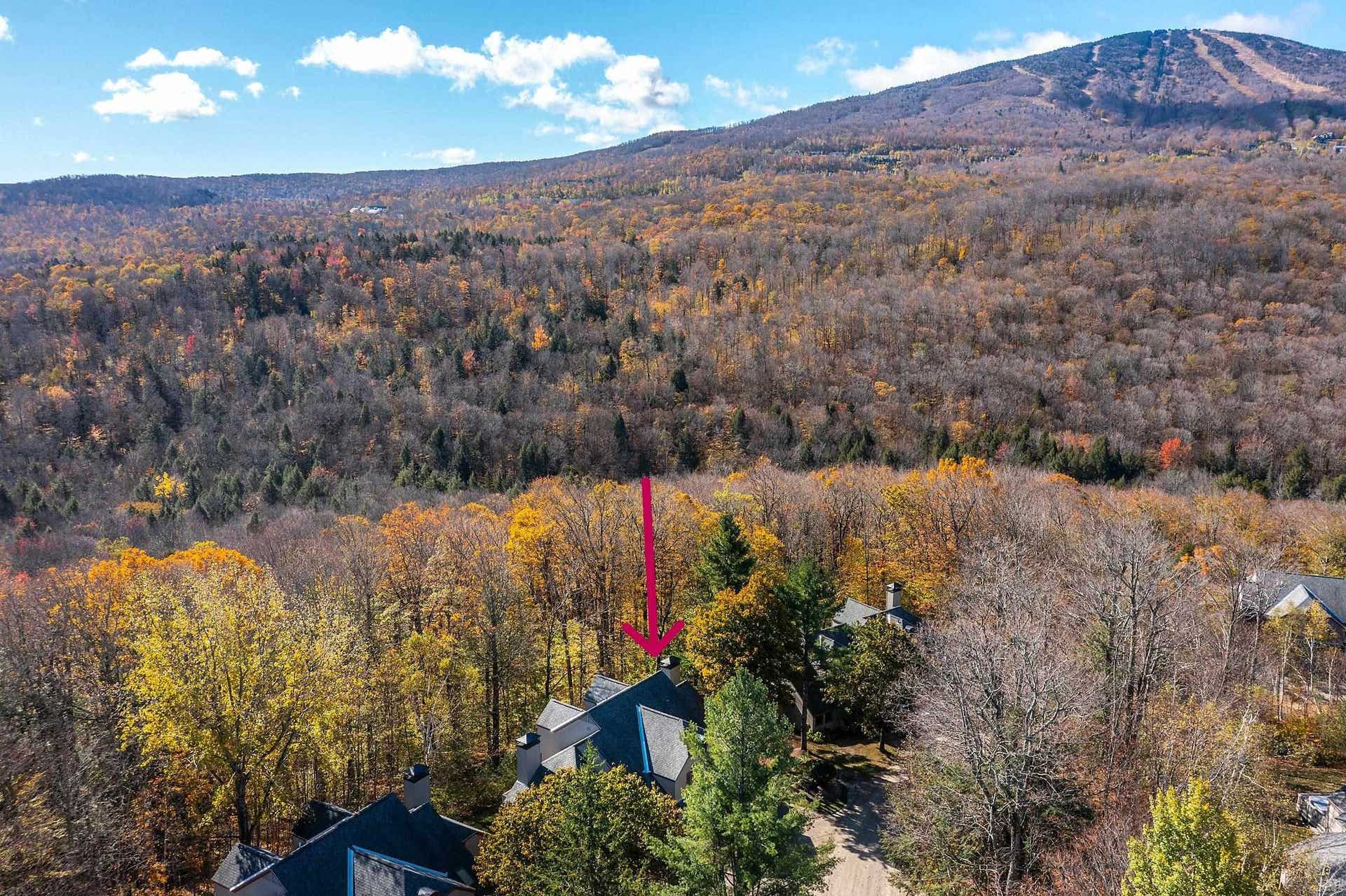 32 Cobble Ridge Road, #D10, Winhall, VT 05340 - SOLD LISTING