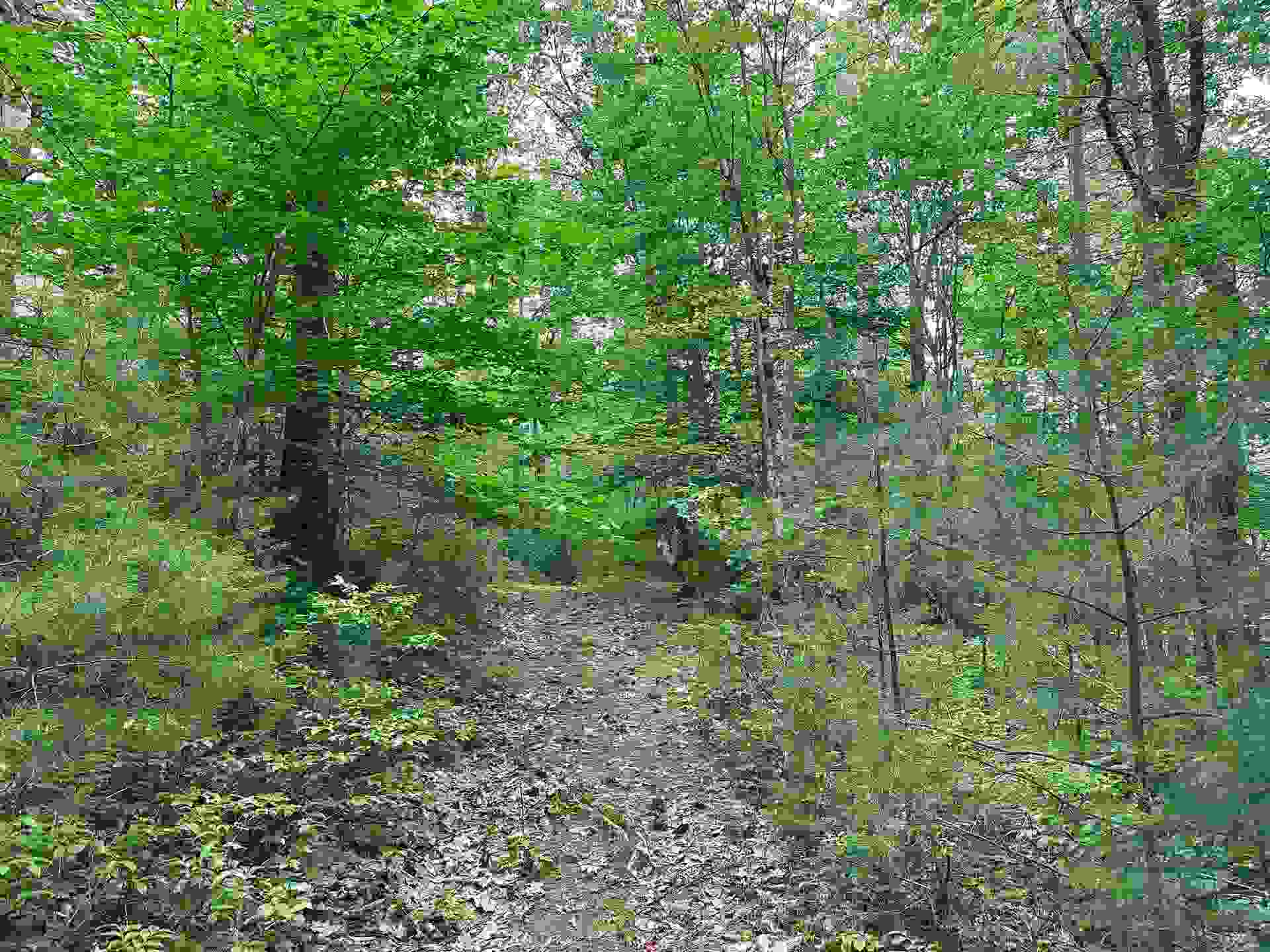 Picture 7