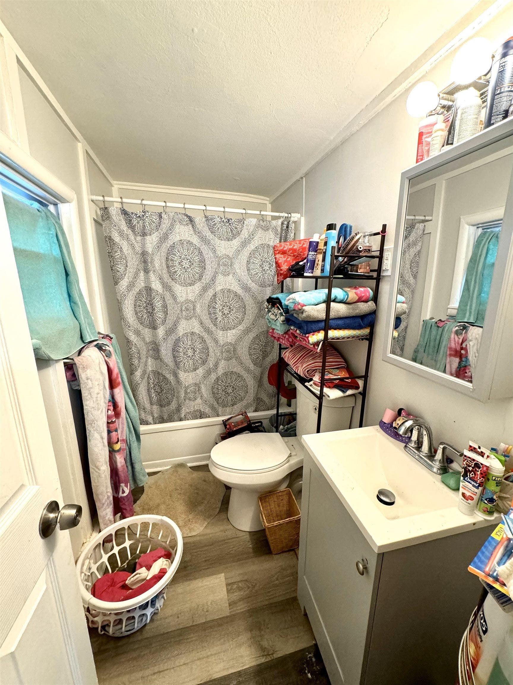 Picture 15