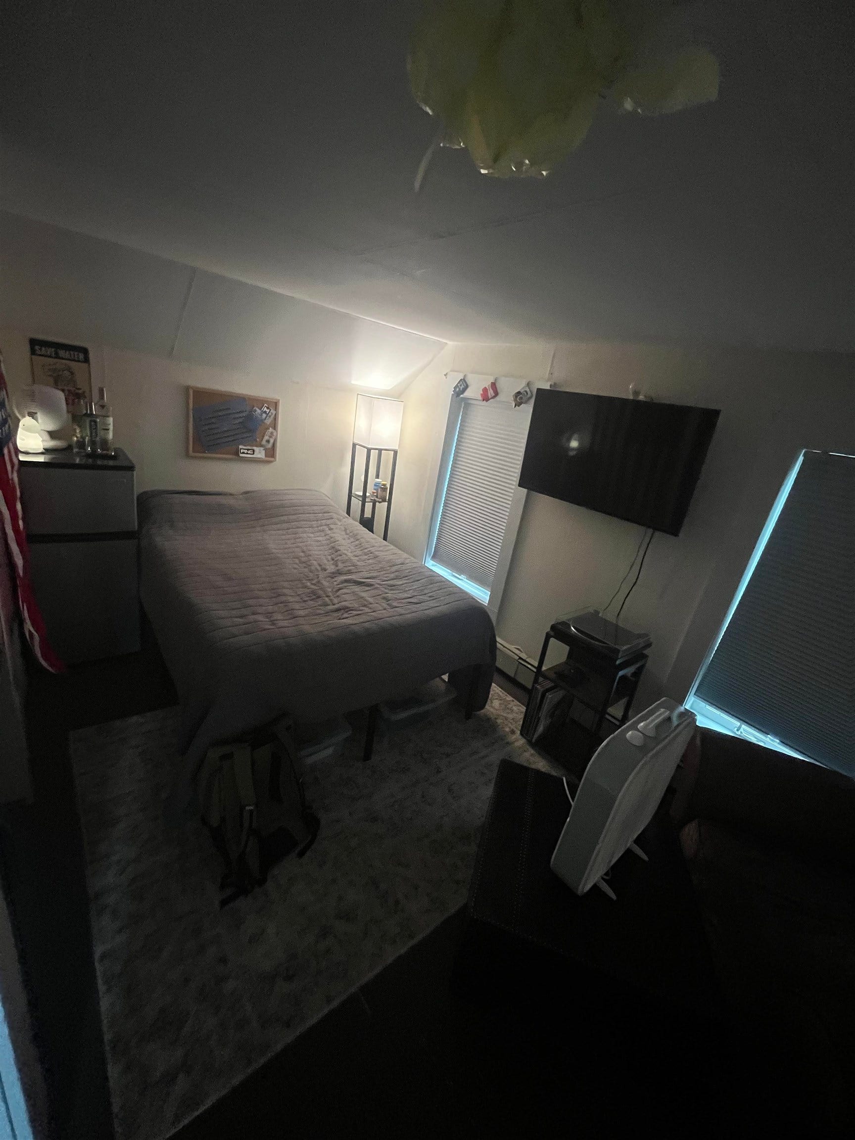 Picture 13