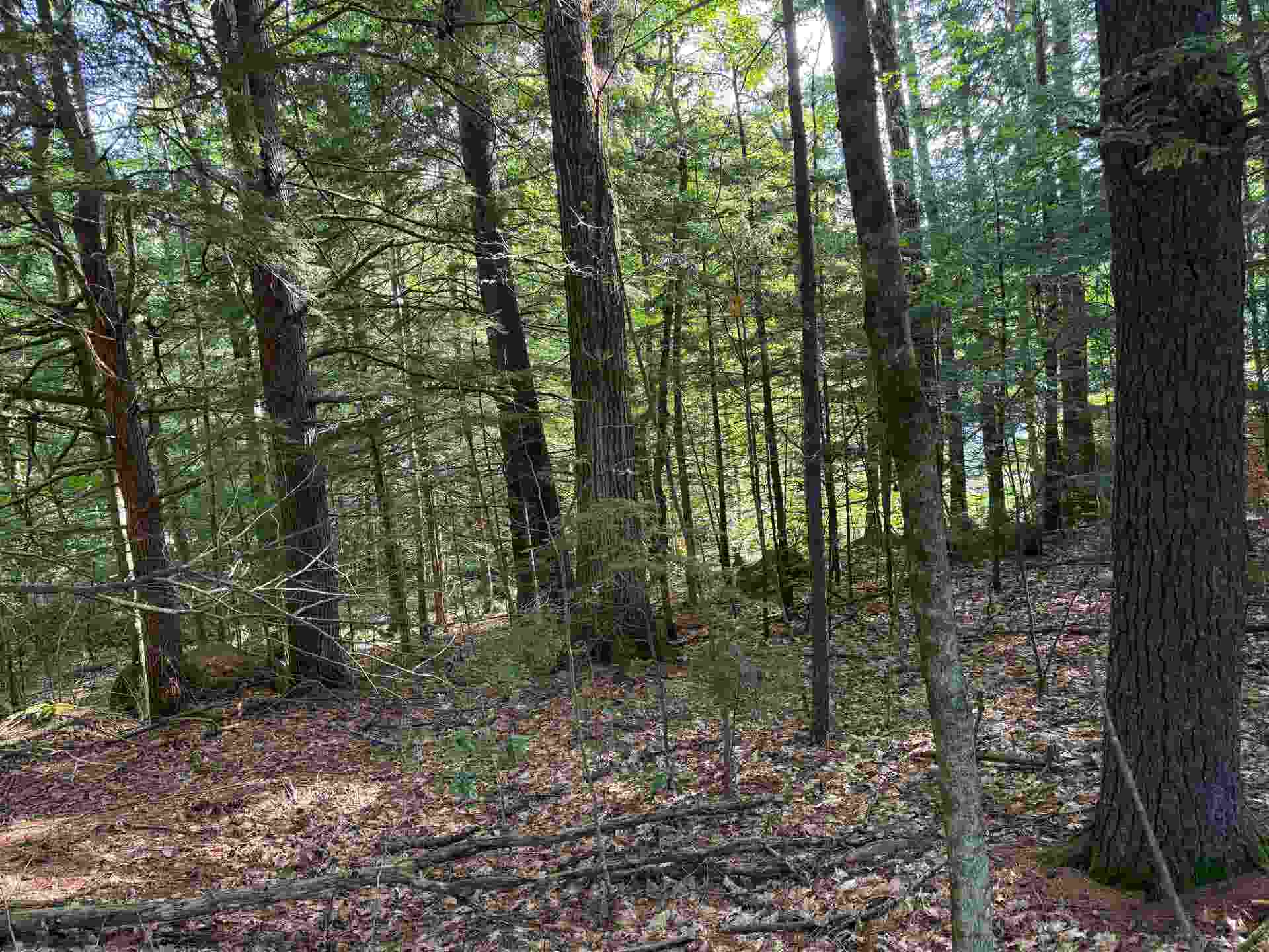 14-189 Seminole Road, Hillsborough, NH 03244
