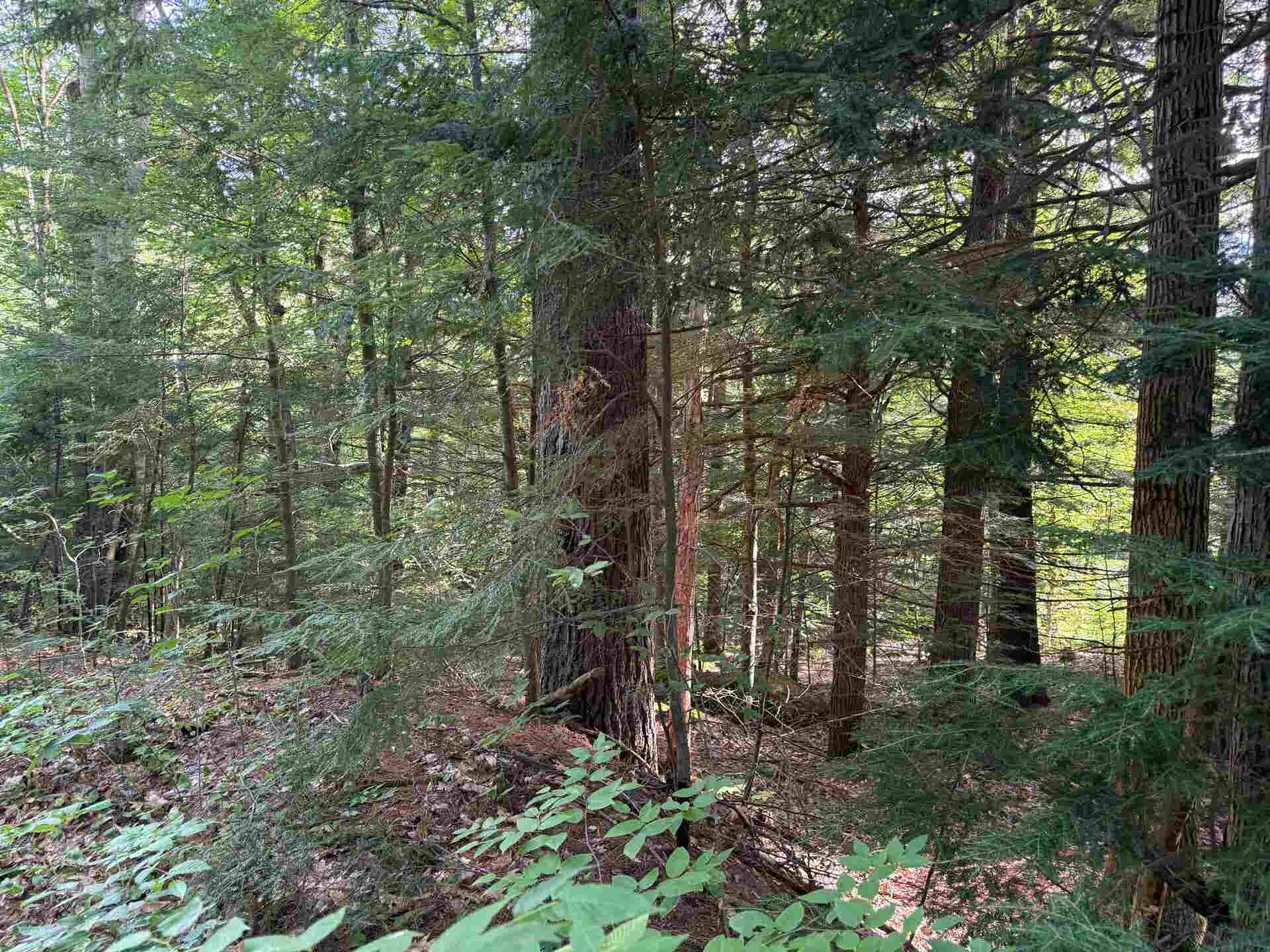 14-189 Seminole Road, Hillsborough, NH 03244
