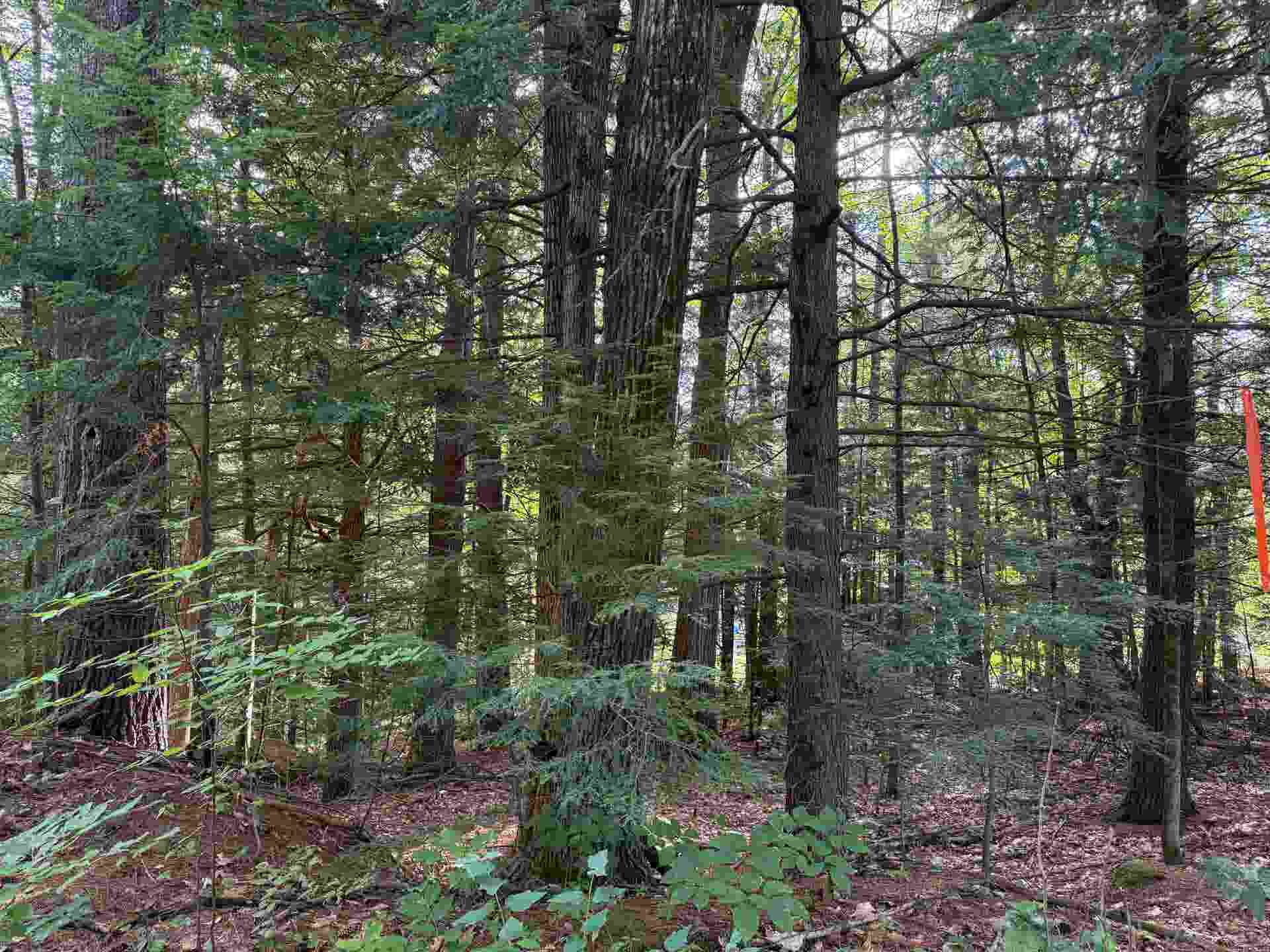 14-189 Seminole Road, Hillsborough, NH 03244