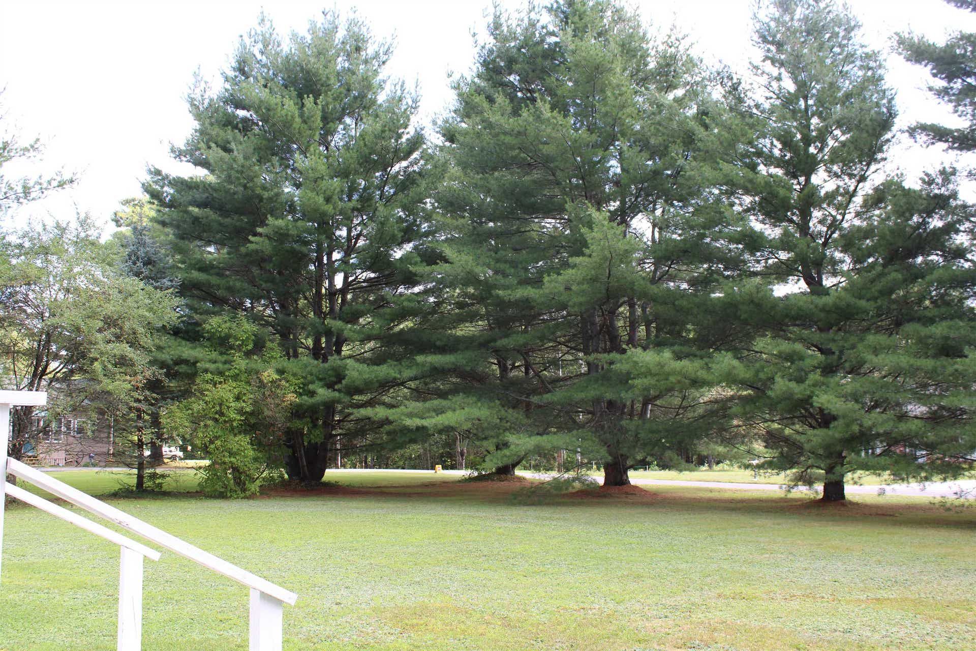 189 Parker Road, Carroll, NH 03595