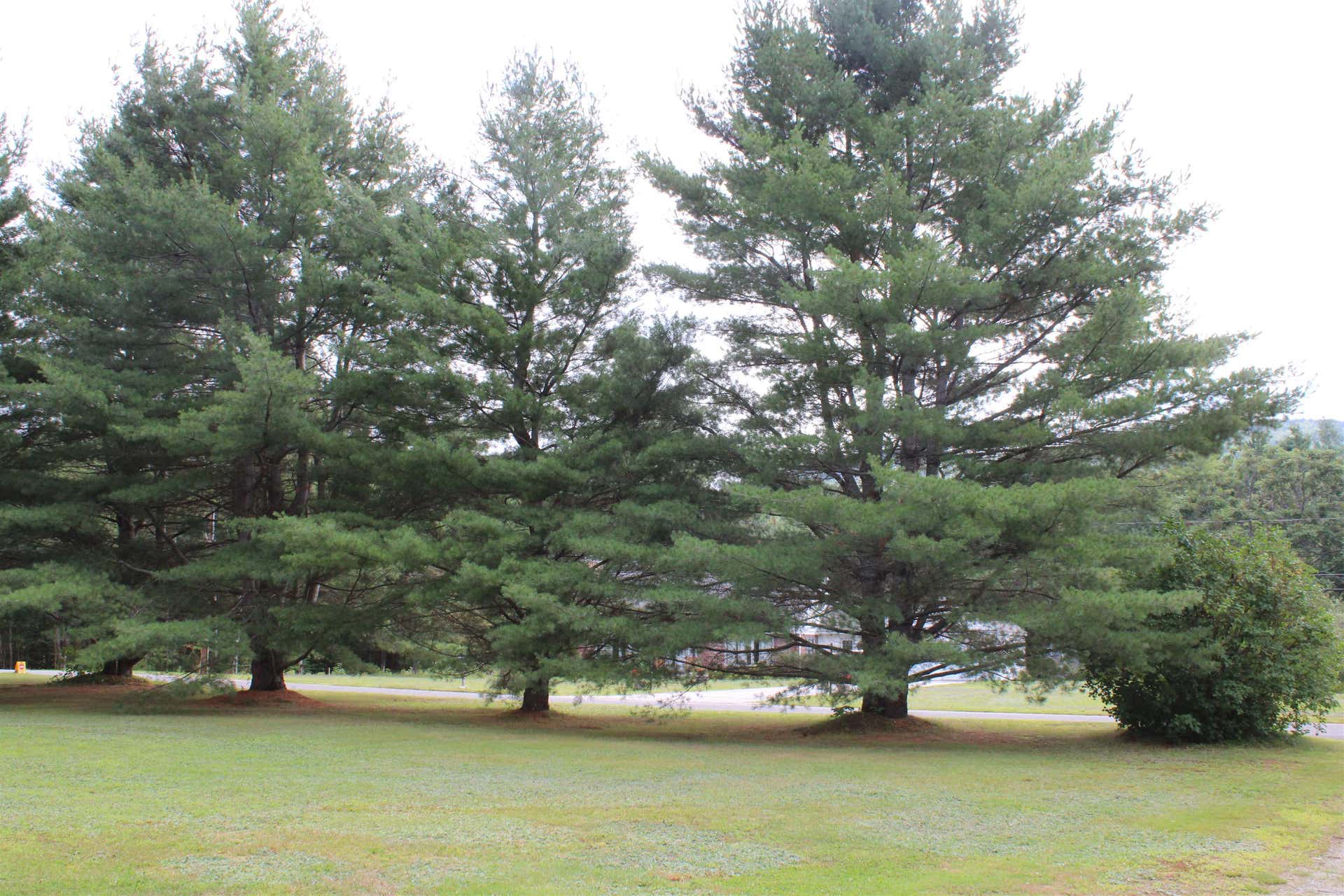 189 Parker Road, Carroll, NH 03595