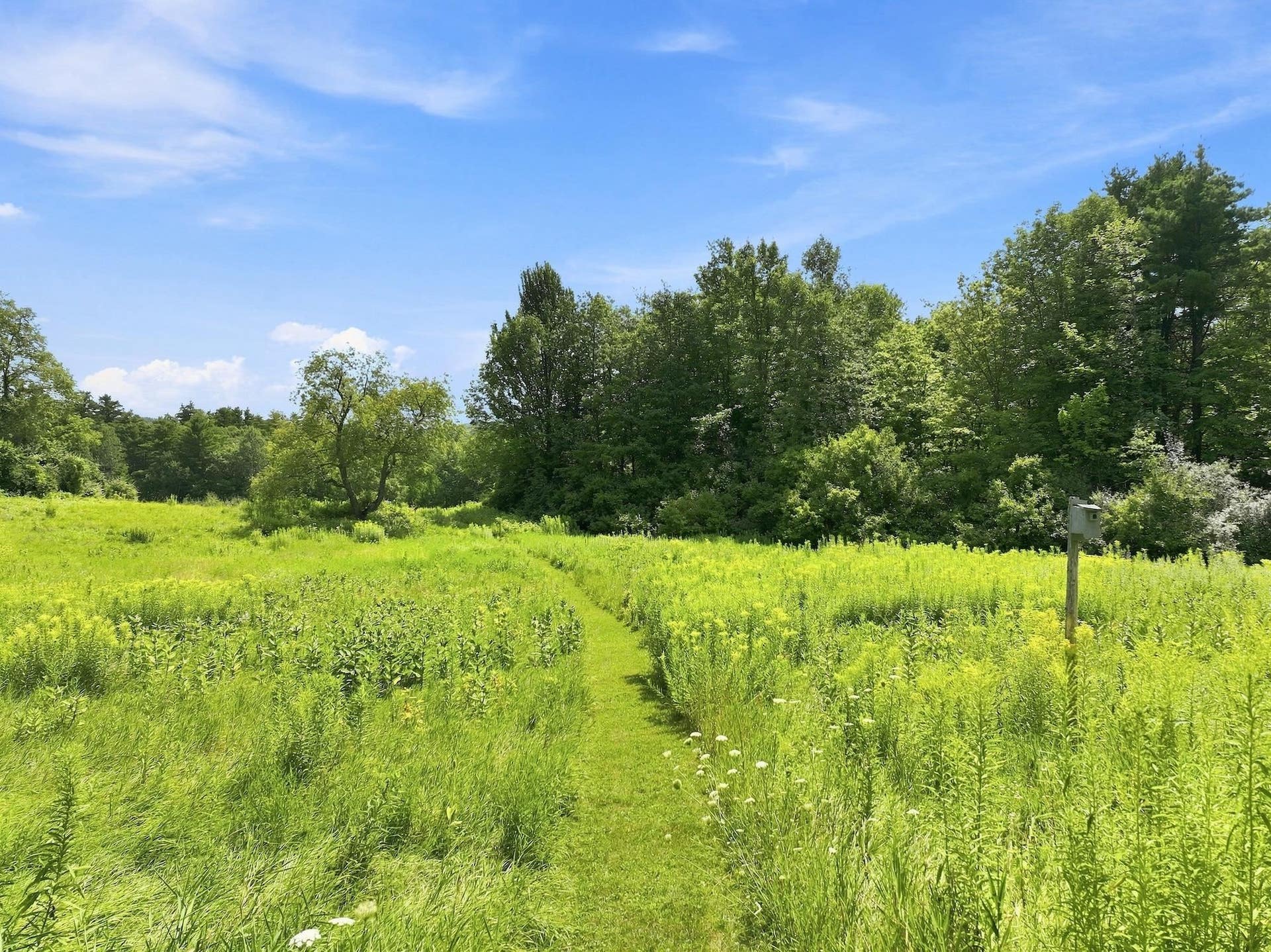 656 Highland Way, Ferrisburgh, VT 05473