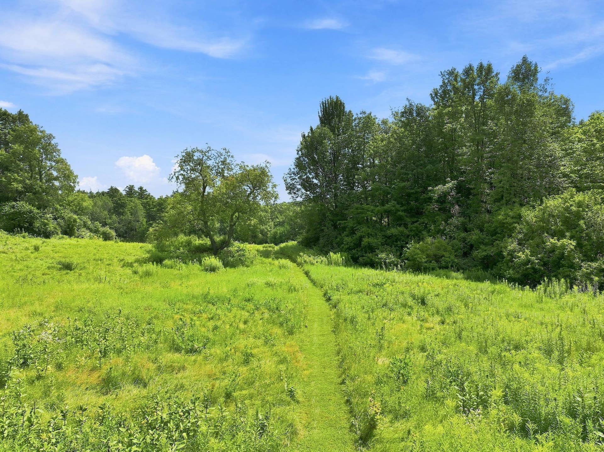 656 Highland Way, Ferrisburgh, VT 05473