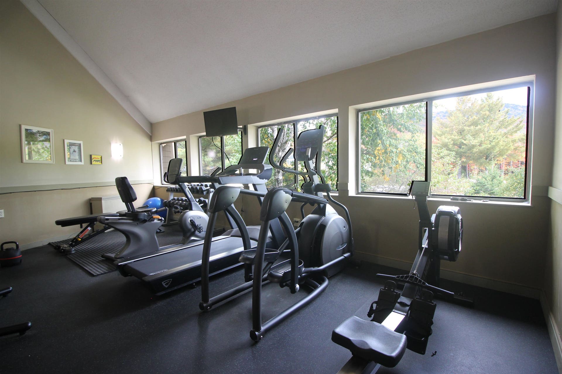 New gym equipment for owner use.