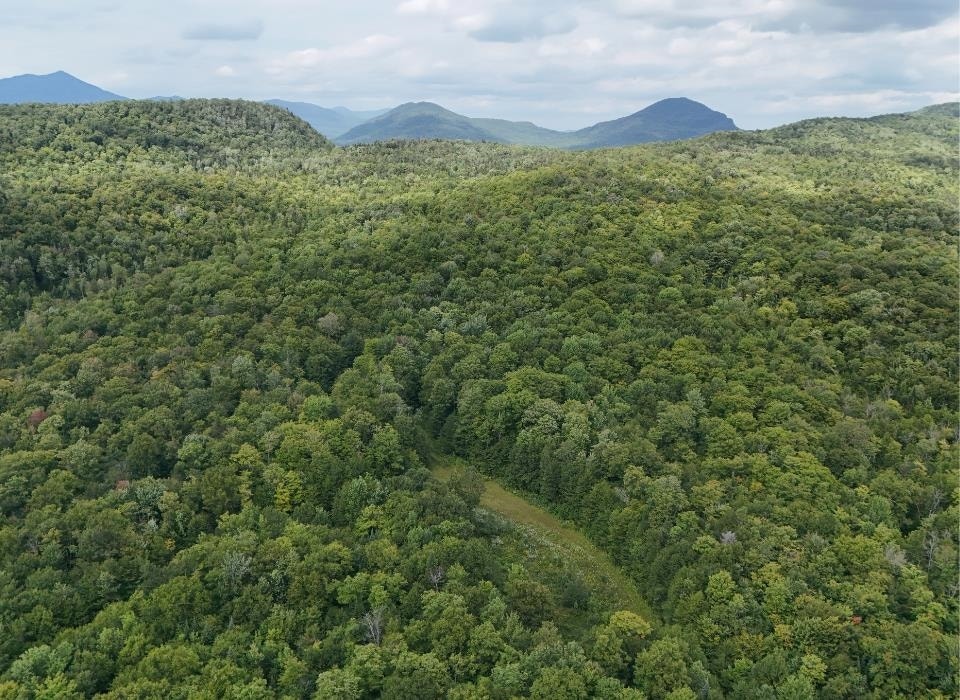 1629 East Hill Road, Eden, VT 05653