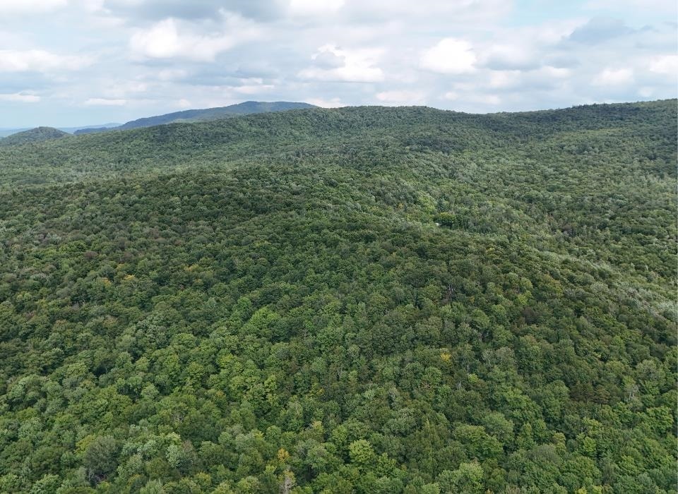 1629 East Hill Road, Eden, VT 05653