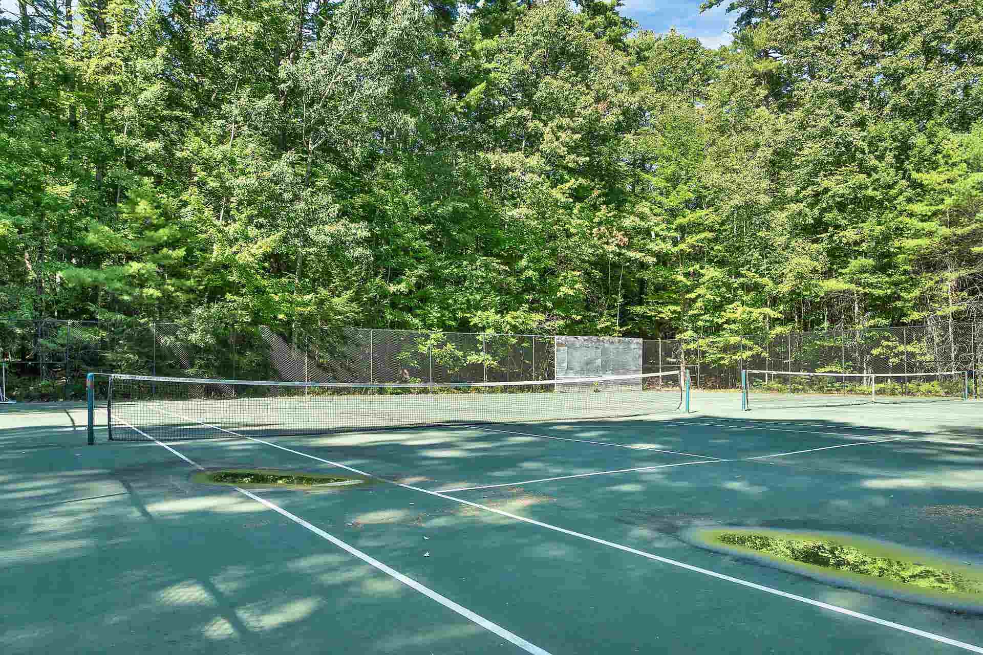 29 Harbourside Drive, Moultonborough, NH 03254