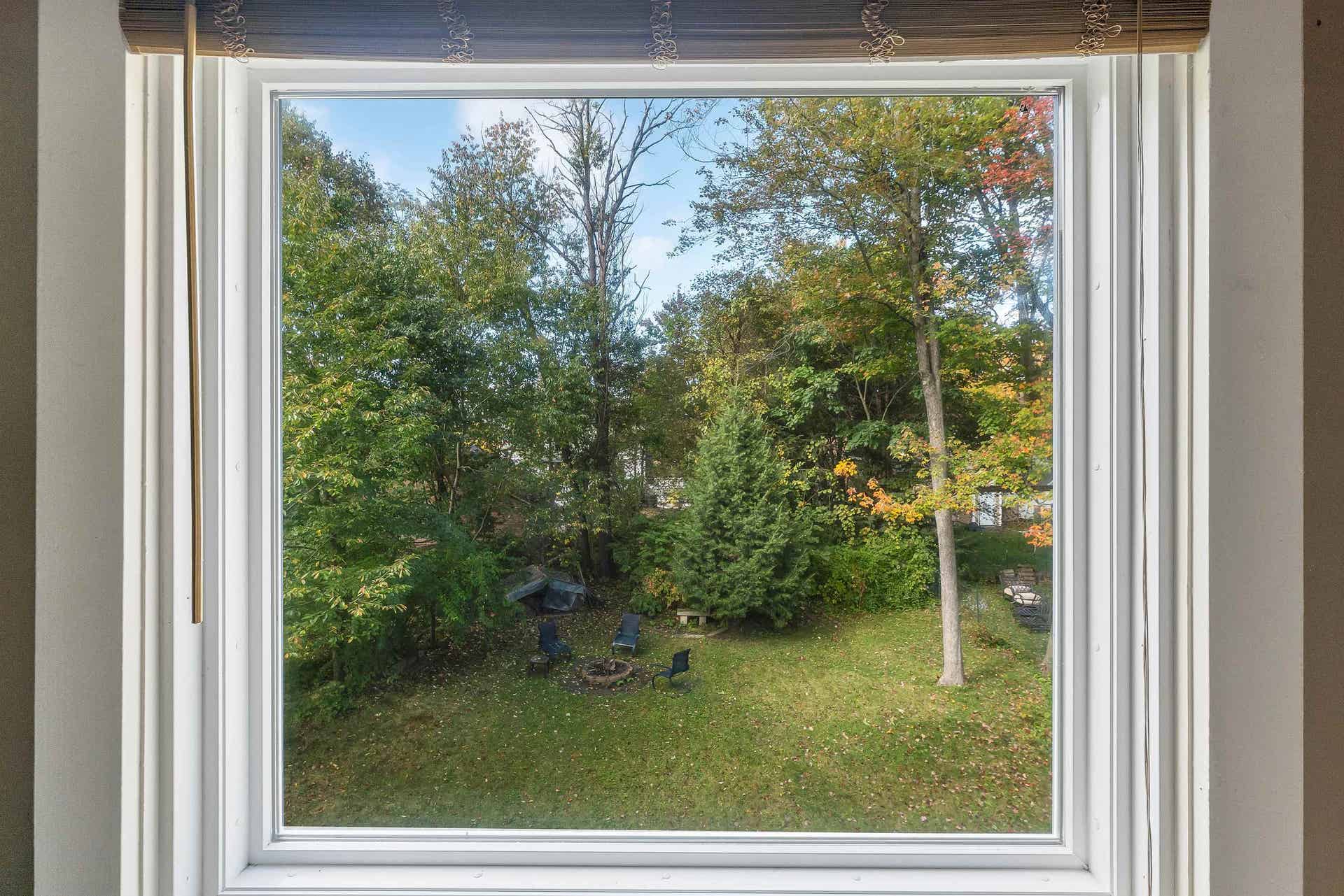 Looking out the Livingroom window.