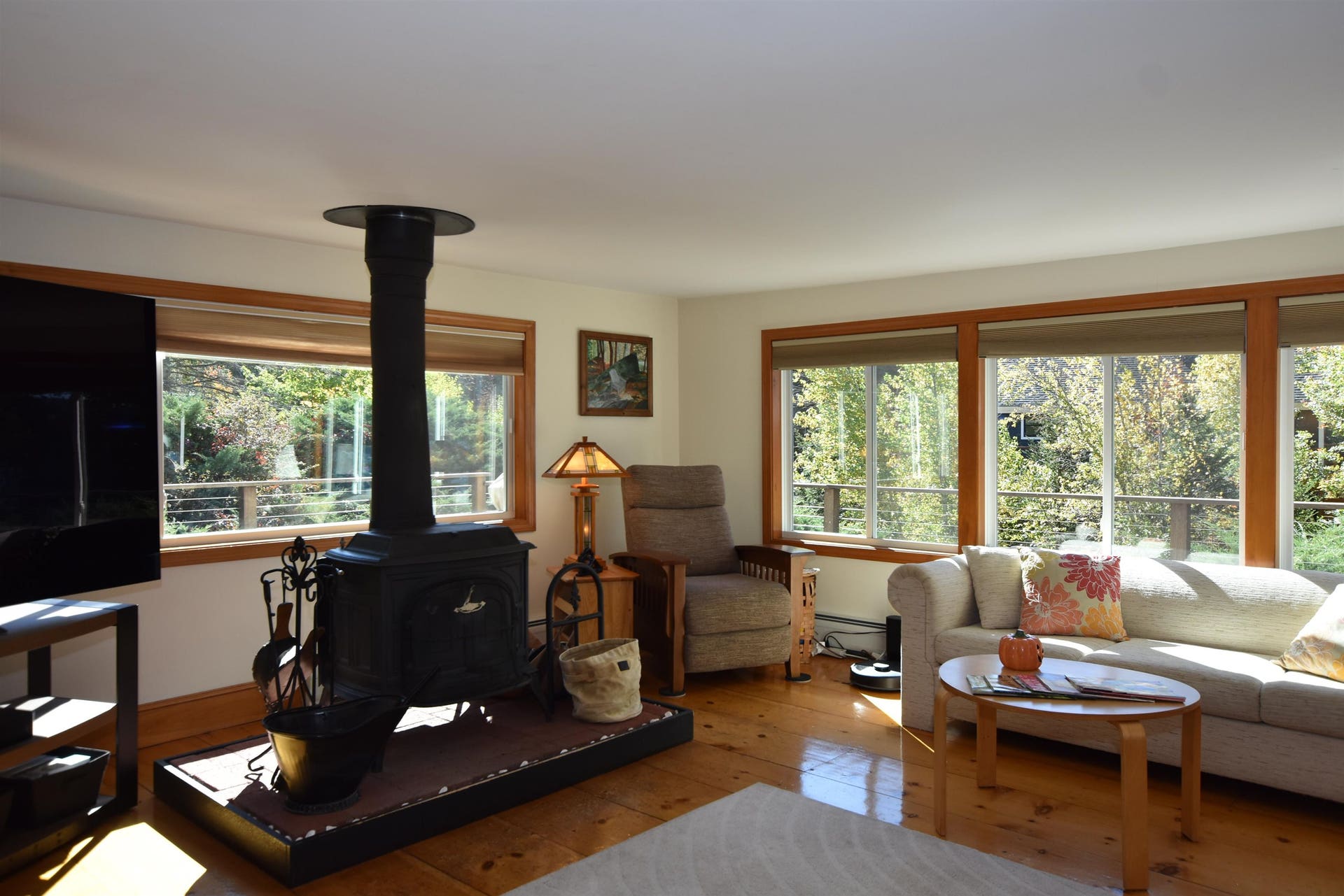 Den with wood stove