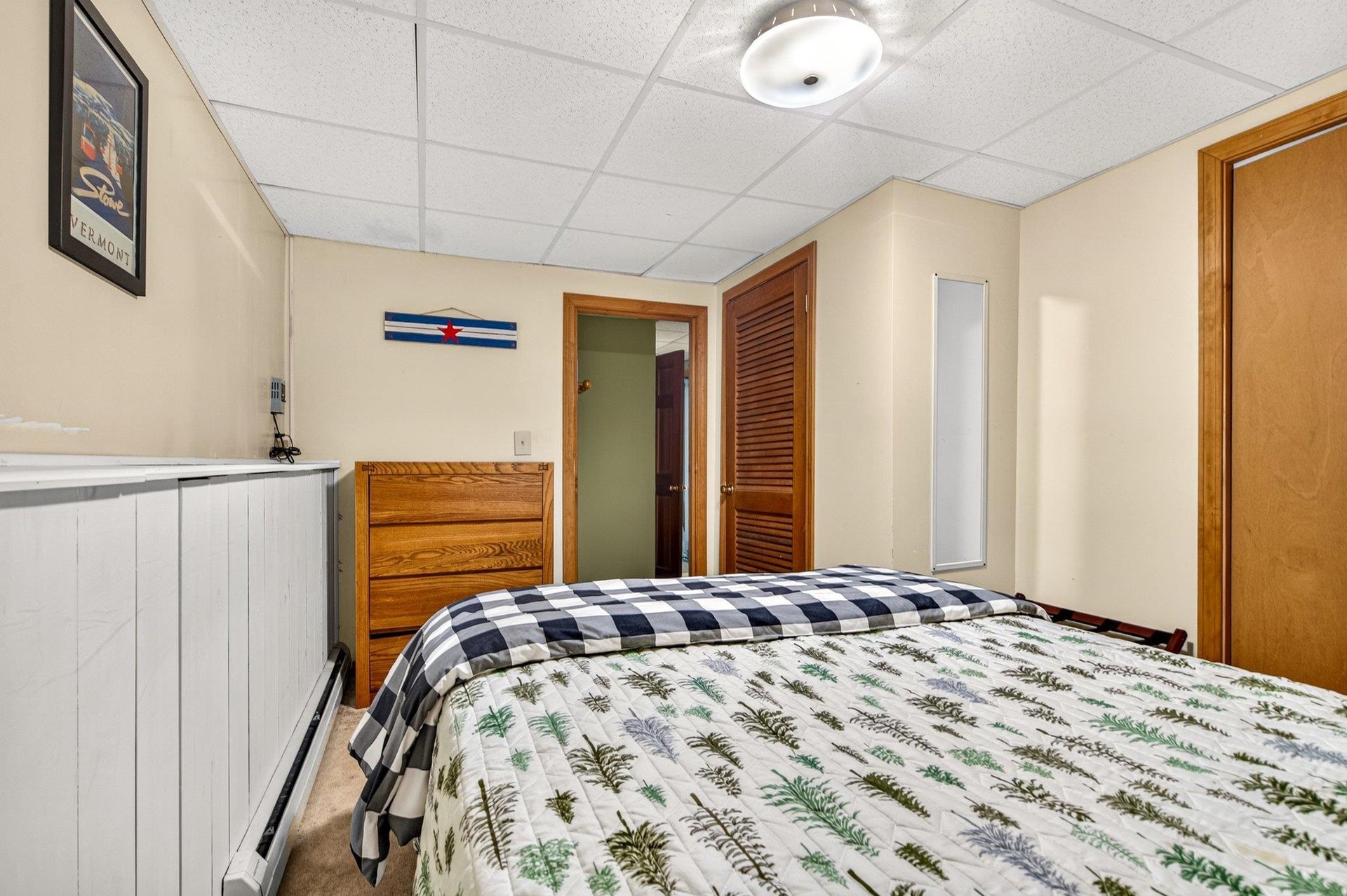 Lower level bedroom