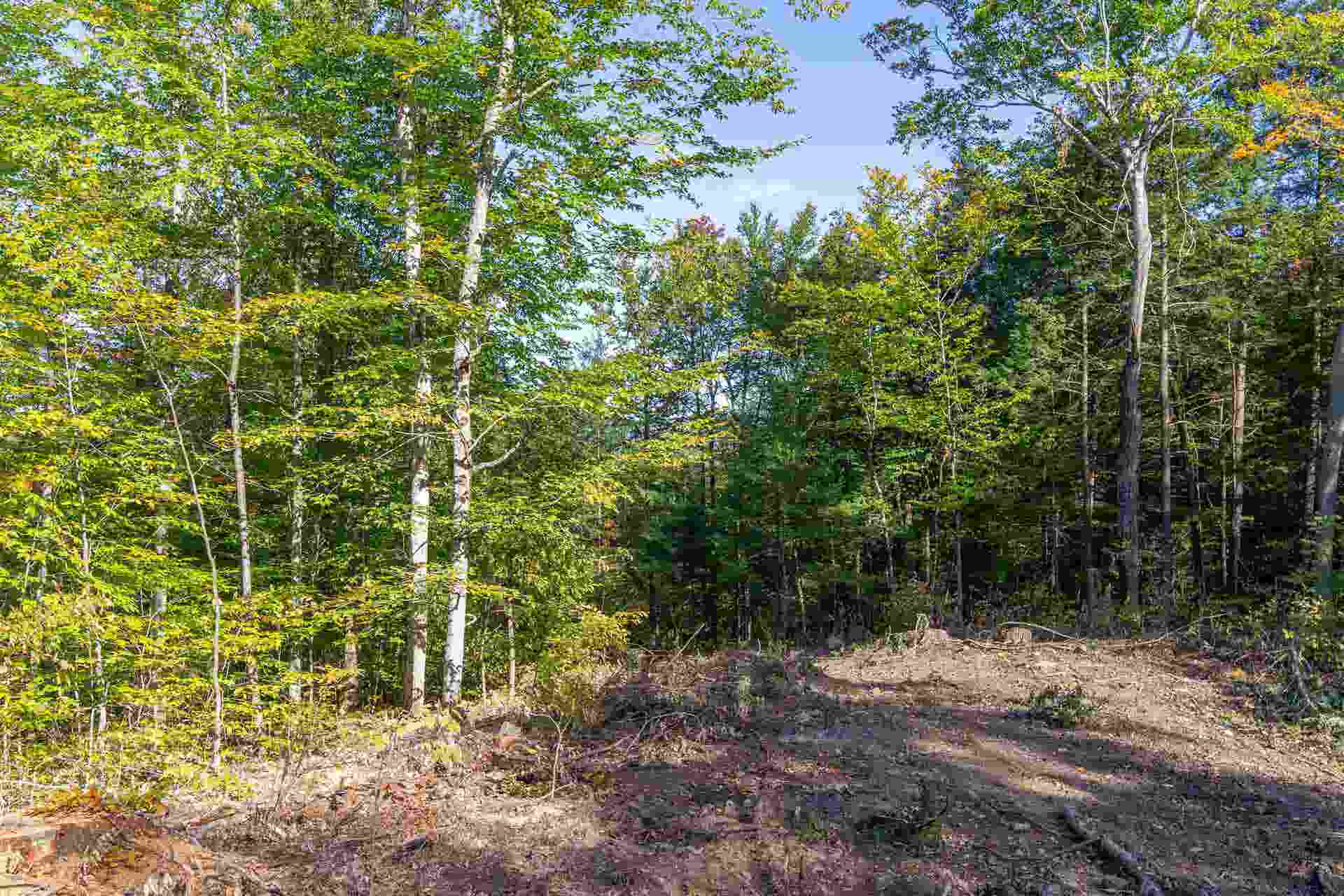 0000 Page Hill Road, Tamworth, NH 03817